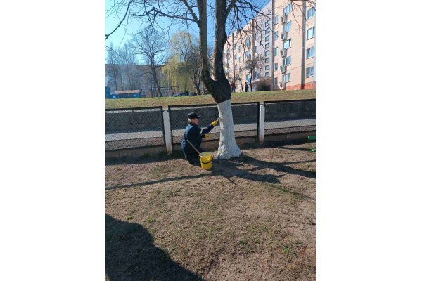 «Чистота — залог здоровья» 