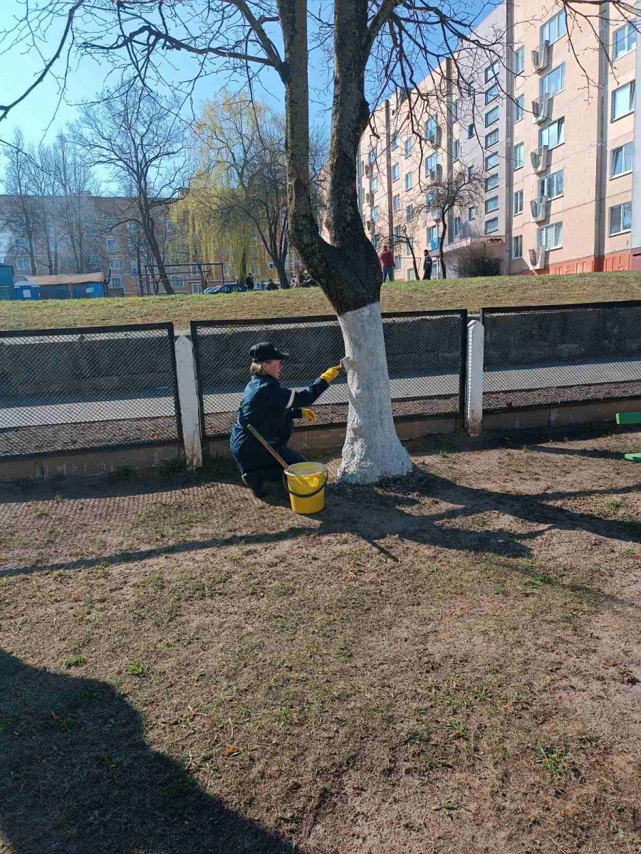 «Чистота — залог здоровья» 